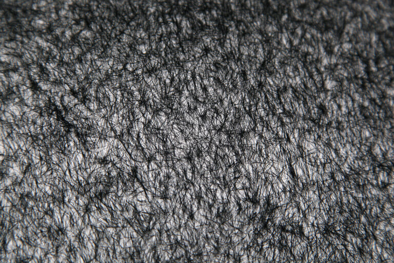 Frontale Detailaufnahme von kurzen, schwarzen Haaren auf weißem Grund. Am oberen Bildrand des Querformates gibt es eine leichte Unschärfe. Die kurzen Haare stehen von der Wand ab, zwischen ihnen ist die weiße Fläche der Wand gut erkennbar.